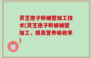 灵芝孢子粉破壁加工技术(灵芝孢子粉被破壁加工，提高营养吸收率)