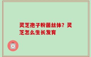 灵芝孢子粉菌丝体？灵芝怎么生长发育