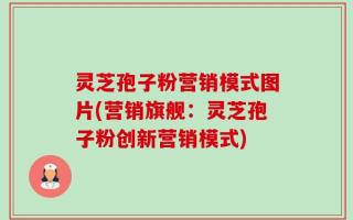 灵芝孢子粉营销模式图片(营销旗舰：灵芝孢子粉创新营销模式)