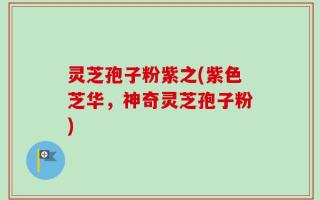 灵芝孢子粉紫之(紫色芝华，神奇灵芝孢子粉)