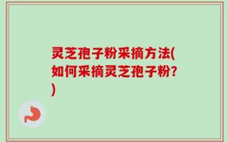 灵芝孢子粉采摘方法(如何采摘灵芝孢子粉？)