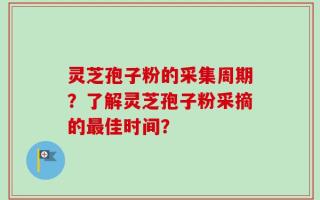 灵芝孢子粉的采集周期？了解灵芝孢子粉采摘的最佳时间？