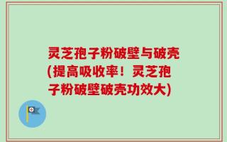 灵芝孢子粉破壁与破壳(提高吸收率！灵芝孢子粉破壁破壳功效大)