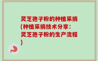 灵芝孢子粉的种植采摘(种植采摘技术分享：灵芝孢子粉的生产流程)