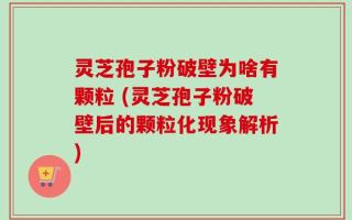 灵芝孢子粉破壁为啥有颗粒 (灵芝孢子粉破壁后的颗粒化现象解析)