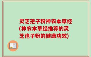 灵芝孢子粉神农本草经(神农本草经推荐的灵芝孢子粉的健康功效)