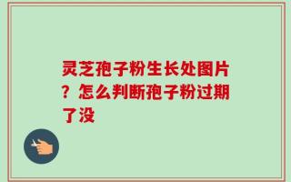 灵芝孢子粉生长处图片？怎么判断孢子粉过期了没