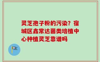 灵芝孢子粉的污染？宿城区鑫常达菌类培植中心种植灵芝靠谱吗