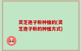 灵芝孢子粉种植的(灵芝孢子粉的种植方式)