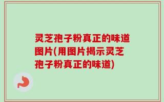 灵芝孢子粉真正的味道图片(用图片揭示灵芝孢子粉真正的味道)