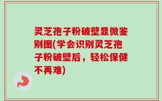 灵芝孢子粉破壁显微鉴别图(学会识别灵芝孢子粉破壁后，轻松保健不再难)