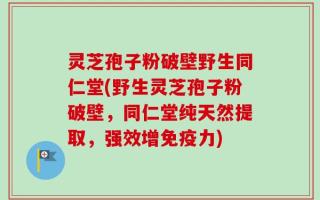 灵芝孢子粉破壁野生同仁堂(野生灵芝孢子粉破壁，同仁堂纯天然提取，强效增免疫力)