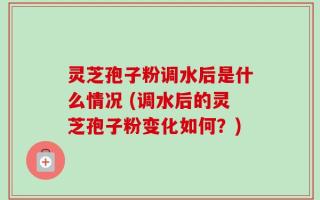 灵芝孢子粉调水后是什么情况 (调水后的灵芝孢子粉变化如何？)