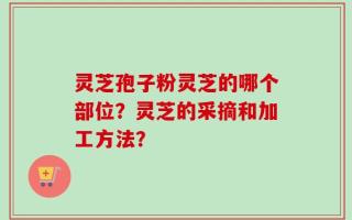 灵芝孢子粉灵芝的哪个部位？灵芝的采摘和加工方法？