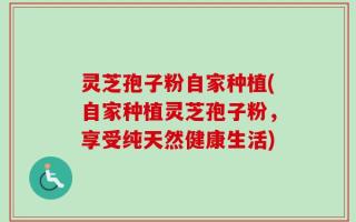 灵芝孢子粉自家种植(自家种植灵芝孢子粉，享受纯天然健康生活)
