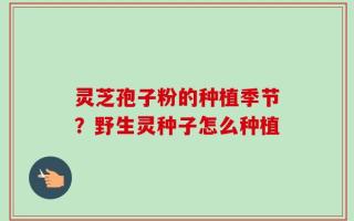 灵芝孢子粉的种植季节？野生灵种子怎么种植