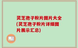灵芝孢子粉片图片大全(灵芝孢子粉片详细图片展示汇总)