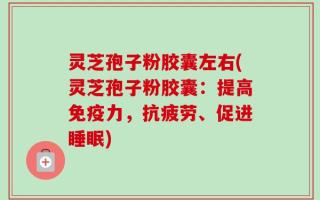 灵芝孢子粉胶囊左右(灵芝孢子粉胶囊：提高免疫力，抗疲劳、促进睡眠)
