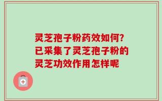 灵芝孢子粉药效如何？已采集了灵芝孢子粉的灵芝功效作用怎样呢
