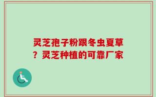 灵芝孢子粉跟冬虫夏草？灵芝种植的可靠厂家