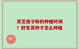 灵芝孢子粉的种植时间？野生灵种子怎么种植