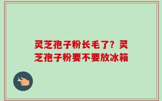 灵芝孢子粉长毛了？灵芝孢子粉要不要放冰箱