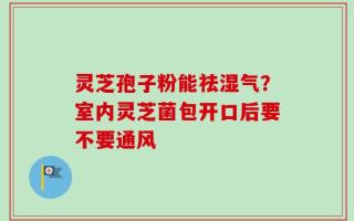 灵芝孢子粉能祛湿气？室内灵芝菌包开口后要不要通风