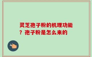 灵芝孢子粉的机理功能？孢子粉是怎么来的