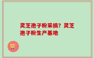 灵芝孢子粉采摘？灵芝孢子粉生产基地
