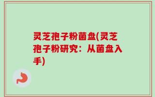 灵芝孢子粉菌盘(灵芝孢子粉研究：从菌盘入手)