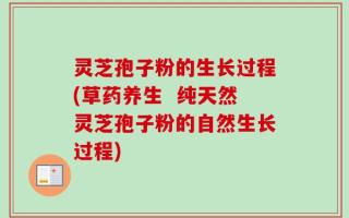 灵芝孢子粉的生长过程(草药养生  纯天然灵芝孢子粉的自然生长过程)