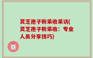 灵芝孢子粉采收采访(灵芝孢子粉采收：专业人员分享技巧)