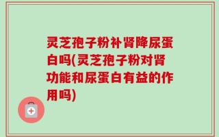灵芝孢子粉补肾降尿蛋白吗(灵芝孢子粉对肾功能和尿蛋白有益的作用吗)