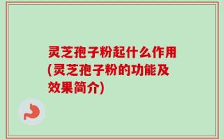 灵芝孢子粉起什么作用(灵芝孢子粉的功能及效果简介)