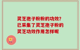 灵芝孢子粉粉的功效？已采集了灵芝孢子粉的灵芝功效作用怎样呢