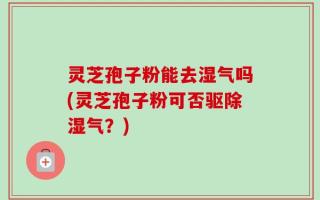灵芝孢子粉能去湿气吗(灵芝孢子粉可否驱除湿气？)