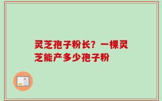 灵芝孢子粉长？一棵灵芝能产多少孢子粉