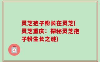 灵芝孢子粉长在灵芝(灵芝重庆：探秘灵芝孢子粉生长之谜)