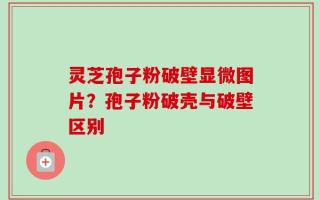 灵芝孢子粉破壁显微图片？孢子粉破壳与破壁区别