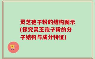 灵芝孢子粉的结构图示(探究灵芝孢子粉的分子结构与成分特征)