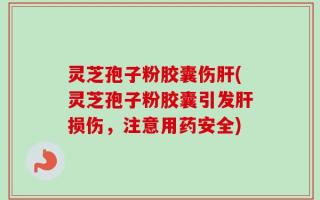 灵芝孢子粉胶囊伤肝(灵芝孢子粉胶囊引发肝损伤，注意用药安全)