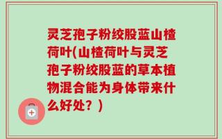 灵芝孢子粉绞股蓝山楂荷叶(山楂荷叶与灵芝孢子粉绞股蓝的草本植物混合能为身体带来什么好处？)