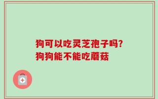 狗可以吃灵芝孢子吗？狗狗能不能吃蘑菇