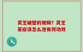 灵芝破壁的视频？灵芝茶应该怎么泡有何功效