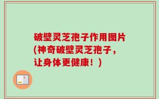 破壁灵芝孢子作用图片(神奇破壁灵芝孢子，让身体更健康！)