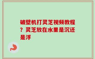 破壁机打灵芝视频教程？灵芝放在水里是沉还是浮