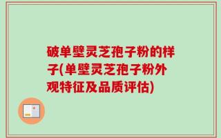 破单壁灵芝孢子粉的样子(单壁灵芝孢子粉外观特征及品质评估)