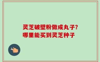 灵芝破壁粉做成丸子？哪里能买到灵芝种子