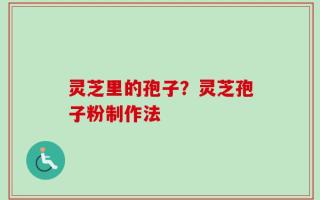 灵芝里的孢子？灵芝孢子粉制作法