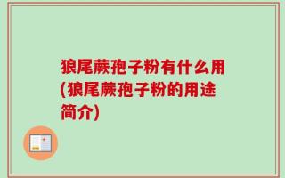 狼尾蕨孢子粉有什么用(狼尾蕨孢子粉的用途简介)